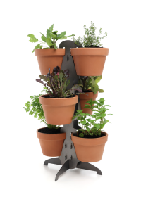 HERBS in terracottapottas plant stand